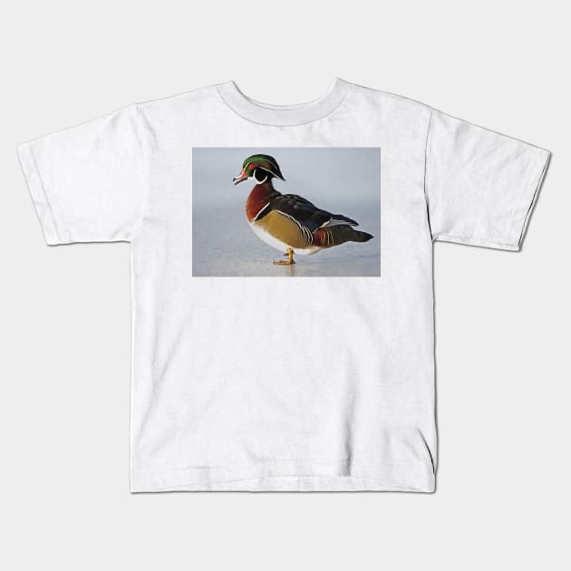 Duck du jour - Wood Duck Kids T-Shirt by Jim Cumming